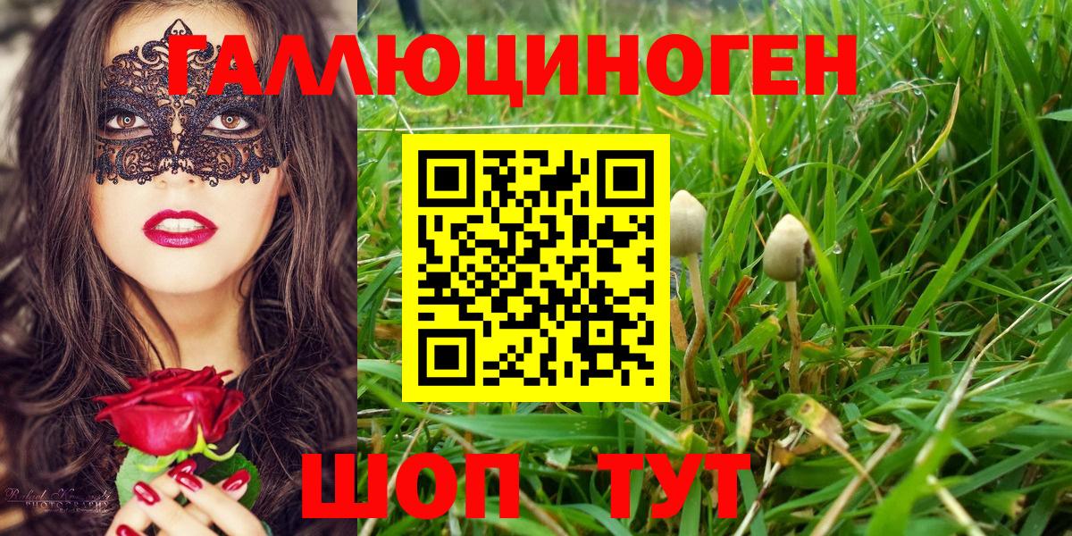 Киров  Галлюциногенные грибы Cubensis  Вход с VPN 