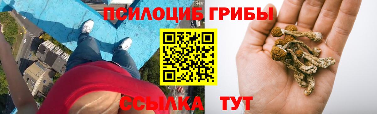 Галлюциногенные грибы MAGIC MUSHROOMS Киров